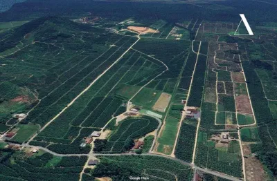 Terreno à venda no São João Abaixo, Garuva 