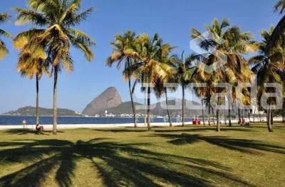 Apartamento com 1 quarto à venda na Rua Buarque de Macedo, Flamengo, Rio de Janeiro