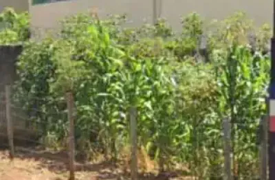 Terreno à venda na Rua Juruna, Distrito Industrial de Ibirité, Ibirité