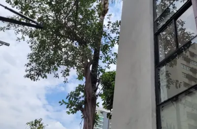 Apartamento com 3 quartos à venda na Rua Professor Júlio Mourão, 340, Luxemburgo, Belo Horizonte