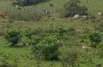 Oportunidade imperdível! chácara com 20.000 m² na estrada da cruz – são pedro da aldeia- r$ 250.000,00