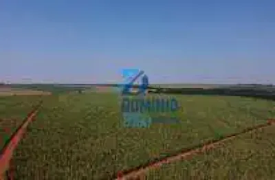 Fazenda à venda na Área Rural, Área Rural de Uberaba, Uberaba
