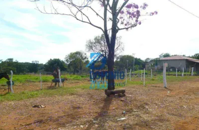 Terreno à venda na Alameda Oitis, Recanto das Flores, Uberaba