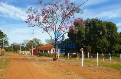 Chácara  residencial à venda, recanto das flores, uberaba.