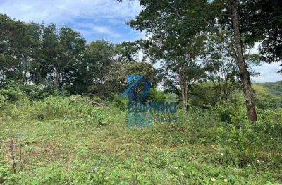 Terreno à venda na Avenida Pedro Lucas, Fabrício, Uberaba