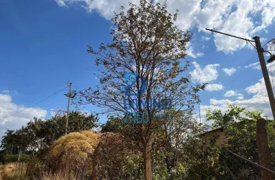 Chácara com 3 dormitórios à venda, 5500 m² por r$ 290.000 - santa fé - uberaba/mg