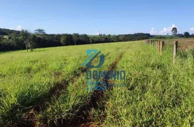 Fazenda com 3 salas à venda na Área Rural, Área Rural de Uberaba, Uberaba