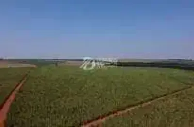 Chácara / sítio à venda na Área Rural, Área Rural de Uberaba, Uberaba