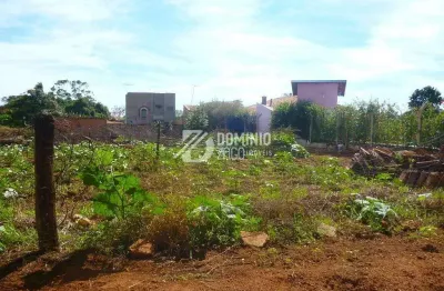Chácara / sítio com 1 quarto à venda na Avenida Sibipiruna, Recanto das Flores, Uberaba