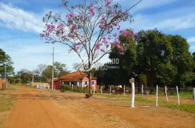 Chácara / sítio com 4 quartos à venda na Alameda Oitis, Recanto das Flores, Uberaba