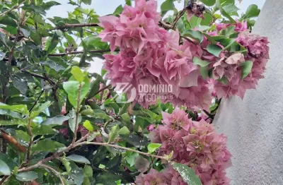 Terreno à venda na Rua Venezuela, Fabrício, Uberaba