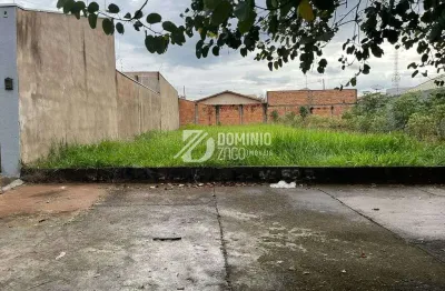 Terreno à venda, 317 m² por r$ 265.000,00 - residencial palmeiras - uberaba/mg