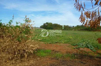Terreno à venda na Alameda Espatódia, Recanto das Flores, Uberaba