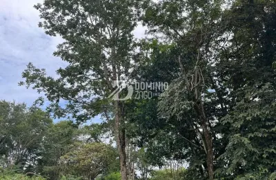 Terreno à venda na Avenida Pedro Lucas, Fabrício, Uberaba