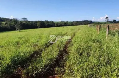 Chácara / sítio com 4 quartos à venda na Área Rural, Área Rural de Uberaba, Uberaba