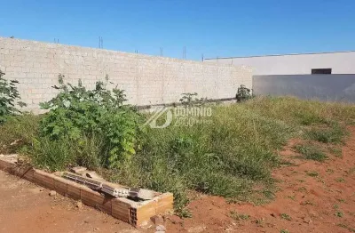 Terreno à venda, 250 m² por r$ 160.000,00 - paraíso - uberaba/mg