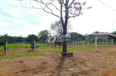 Terreno à venda na Alameda Oitis, Recanto das Flores, Uberaba