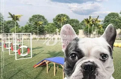 Terreno à venda, 278 m² por r$ 175.000,00 - conjunto manoel mendes - uberaba/mg