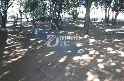 Chácara à venda, 10000 m² por r$ 200.000,00 - chácaras são basílio - uberaba/mg