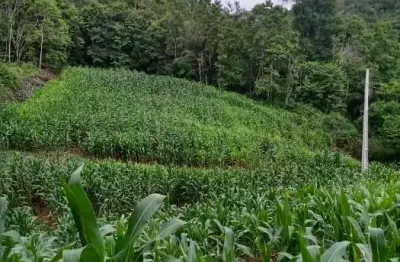 Terreno à venda na geral do rio engano, 01, rio engano, alfredo wagner por r$ 500.000