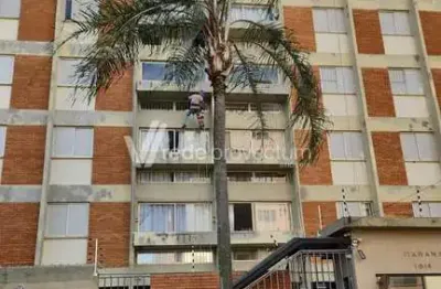 Apartamento com 3 quartos para alugar na rua presidente bernardes, 1314, jardim flamboyant, campinas, 100 m2 por r$ 3.000