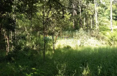 Terreno comercial à venda na Rua Theodosio Rodriguez Otero, s/n°, Joaquim Egídio, Campinas por R$ 530.000