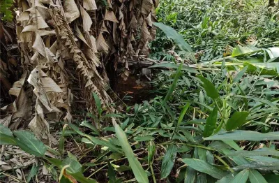 Terreno à venda em campo limpo paulista, botujuru (botujuru), 20038,76m²