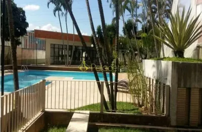 Apartamento à venda e locação 2 quartos, 1 vaga, 56m², jardim paulista, são josé dos campos - sp |