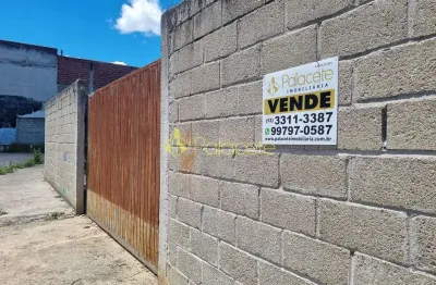Terreno plano, murado e com localização privilegiada em roseira: oportunidade para construção e inv