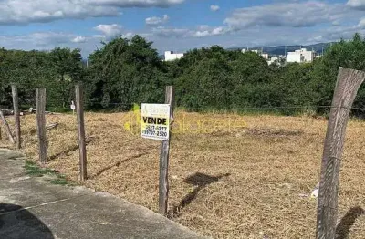 Terreno à venda, residencial parque das palmeiras, pindamonhangaba, sp