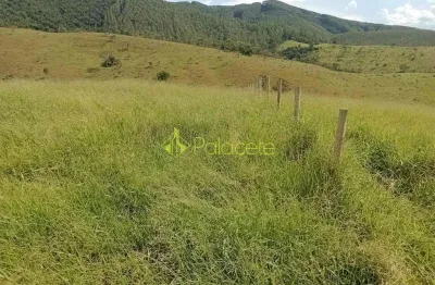 Sítio à venda com escritura e fácil acesso, pouso frio, taubaté, sp