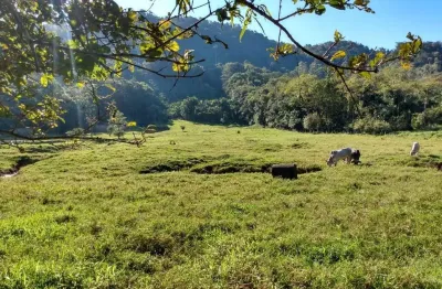 Chácara / sítio com 2 quartos à venda na Área Rural de Jaraguá do Sul, Jaraguá do Sul 