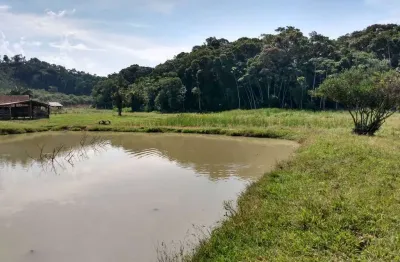 Chácara / sítio com 1 quarto à venda na Rua Francisco Greter, SN, Braço do Ribeirão Cavalo, Jaraguá do Sul