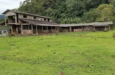 Chácara / sítio com 3 quartos à venda no Centro, Schroeder 
