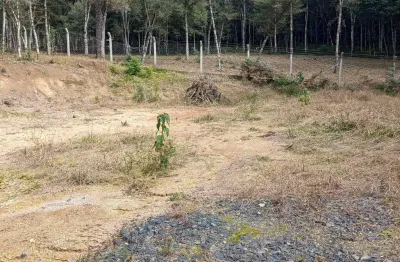 Chácara / sítio com 1 quarto à venda na Estrada Rio Negro, 1, Lençol, São Bento do Sul