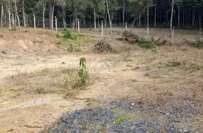 Casa com 1 quarto à venda na Estrada Rio Negro, 1, Lençol, São Bento do Sul
