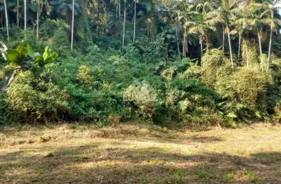 Casa com 10 quartos à venda na Estrada Serafim Luiz Devigili, 1, Rio Branco, Guaramirim