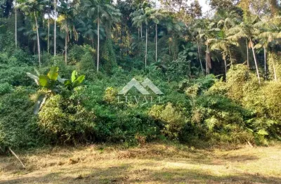 Casa com 10 quartos à venda na Estrada Serafim Luiz Devigili, 1, Rio Branco, Guaramirim