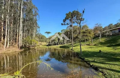 Casa com 3 quartos à venda na Zona Rural, Rio Negrinho 