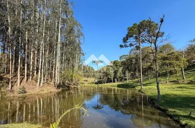 Casa com 3 quartos à venda na Zona Rural, Rio Negrinho 