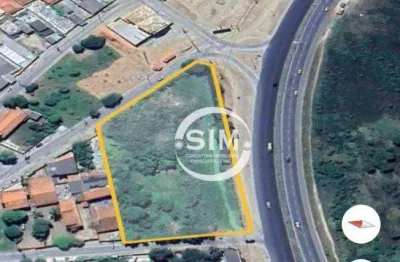 Terreno à venda, 5000 m² por r$ 6.000.000,00 - fluminense - são pedro da aldeia/rj