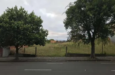 Terreno à venda no Cristo Redentor, Caxias do Sul 