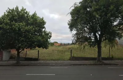 Terreno à venda na Rua Tronca, 815, Cristo Redentor, Caxias do Sul