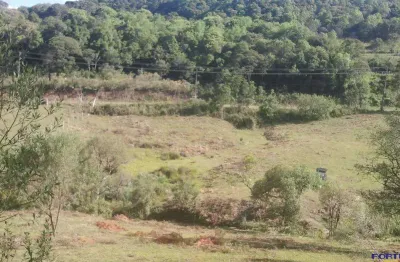 Terreno para venda  no bairro ana rech em caxias do sul