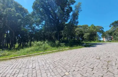 Terreno à venda na Rua Guilherme Rech, esquina, Ana Rech, Caxias do Sul