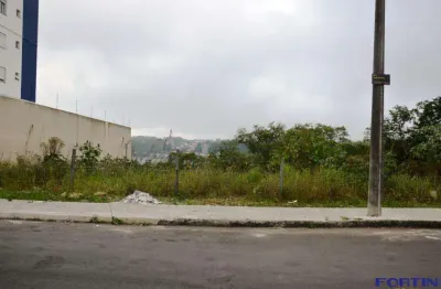 Terreno à venda na Avenida Rio Branco, Vila Verde, Caxias do Sul