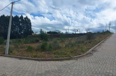 Terreno à venda na Avenida Rio Branco, 900, Rio Branco, Caxias do Sul