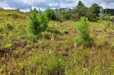 Terreno para venda  no bairro nossa senhora das graças em caxias do sul