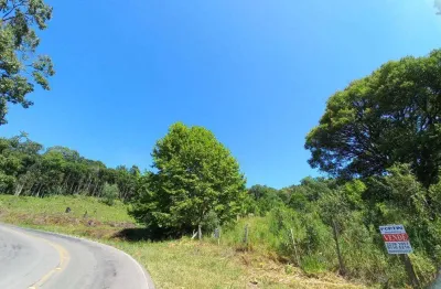 Chácara / sítio à venda na Parada Cristal, Flores da Cunha 