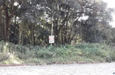 Terreno para venda  no bairro ana rech em caxias do sul